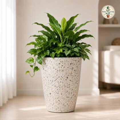 Cono Planter Big Terrazzo Finish Fibre Reinforced Plastic Frp - Nook & Nature