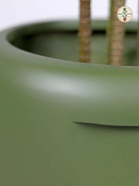 Cool Fiberglass Planter – Olive Green - Nook & Nature