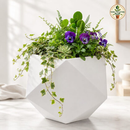Cosmos Planter