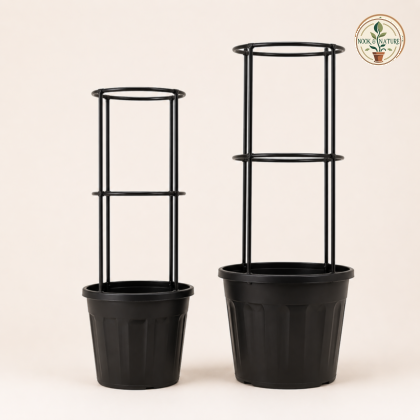 Creeper Support 6 50 In Dia X 24 00 In H Brown Plant Support - Nook & Nature