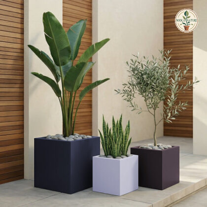 Cube Fiberglass Planters - Nook & Nature