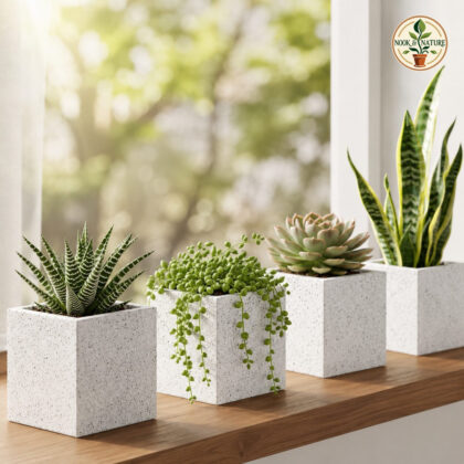 Cubo Planter