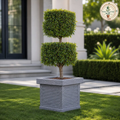 Cubo Square Planter