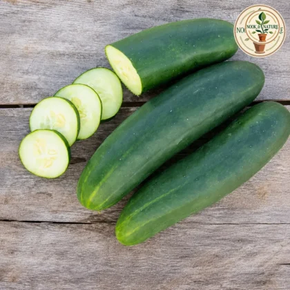 CUCUMBER DARK GREEN HYBRID SEEDS