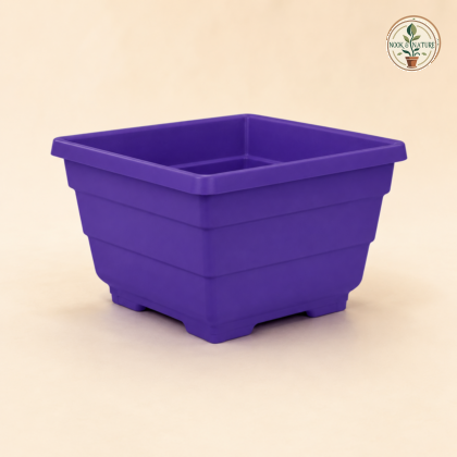 Daisy Square Planter - Nook & Nature