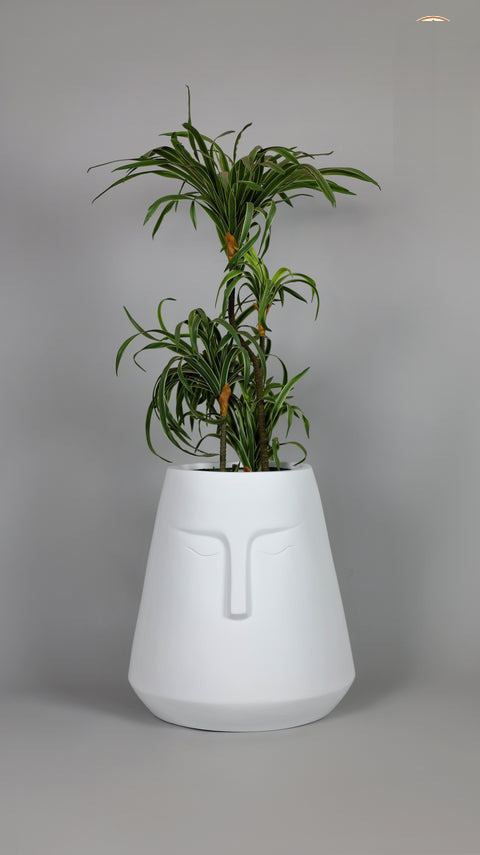 E-Pot-A Fiberglass Planter – White - Nook & Nature