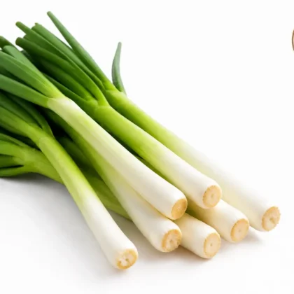 Leek Seeds