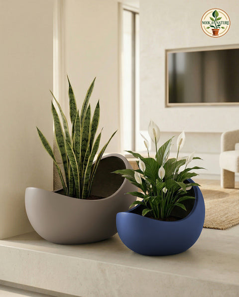 Eggo Fiberglass Planters S Grey Glossy - Nook & Nature