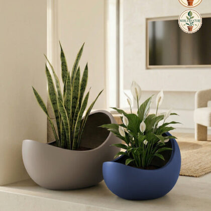 Eggo Fiberglass Planters S Grey Glossy - Nook & Nature
