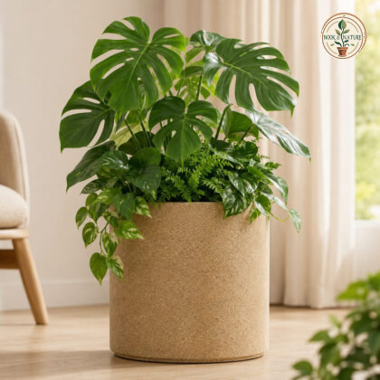 EVA Planter