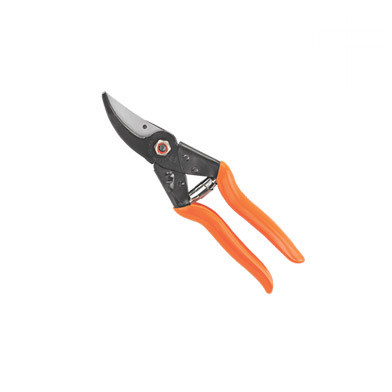 Falcon MAJOR Professional Bypass Pruning Secateur – 225 mm - Nook & Nature