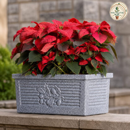 Flora Rectangle Planter Flora 60 Cream Stone Linear Low Density Polyethylene Lldpe Rectangle Planter Stone Finish With Tray - Nook & Nature