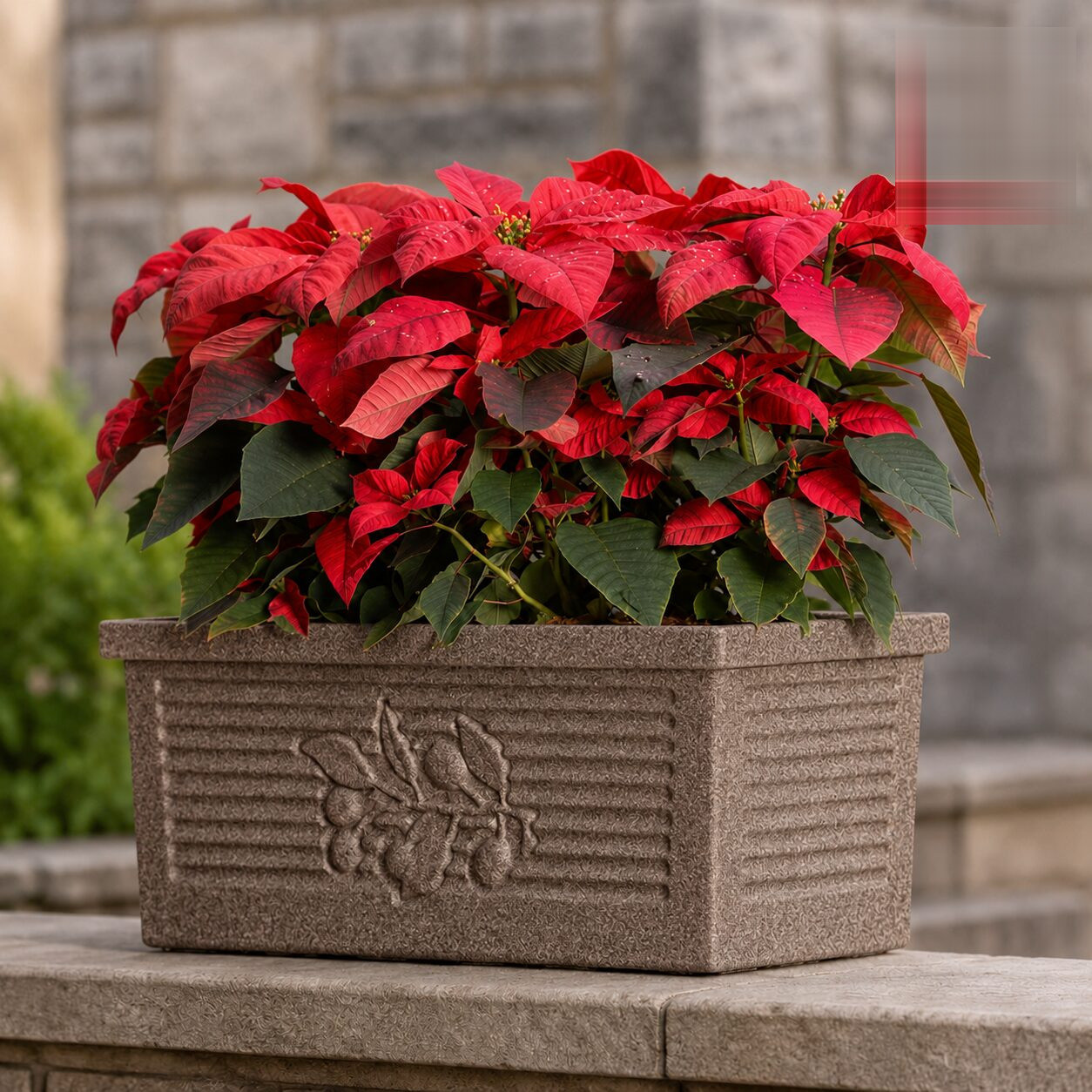Flora Rectangle Planter Flora 100 Sand Stone Linear Low Density Polyethylene Lldpe Rectangle Planter Stone Finish Without Tray - Nook & Nature
