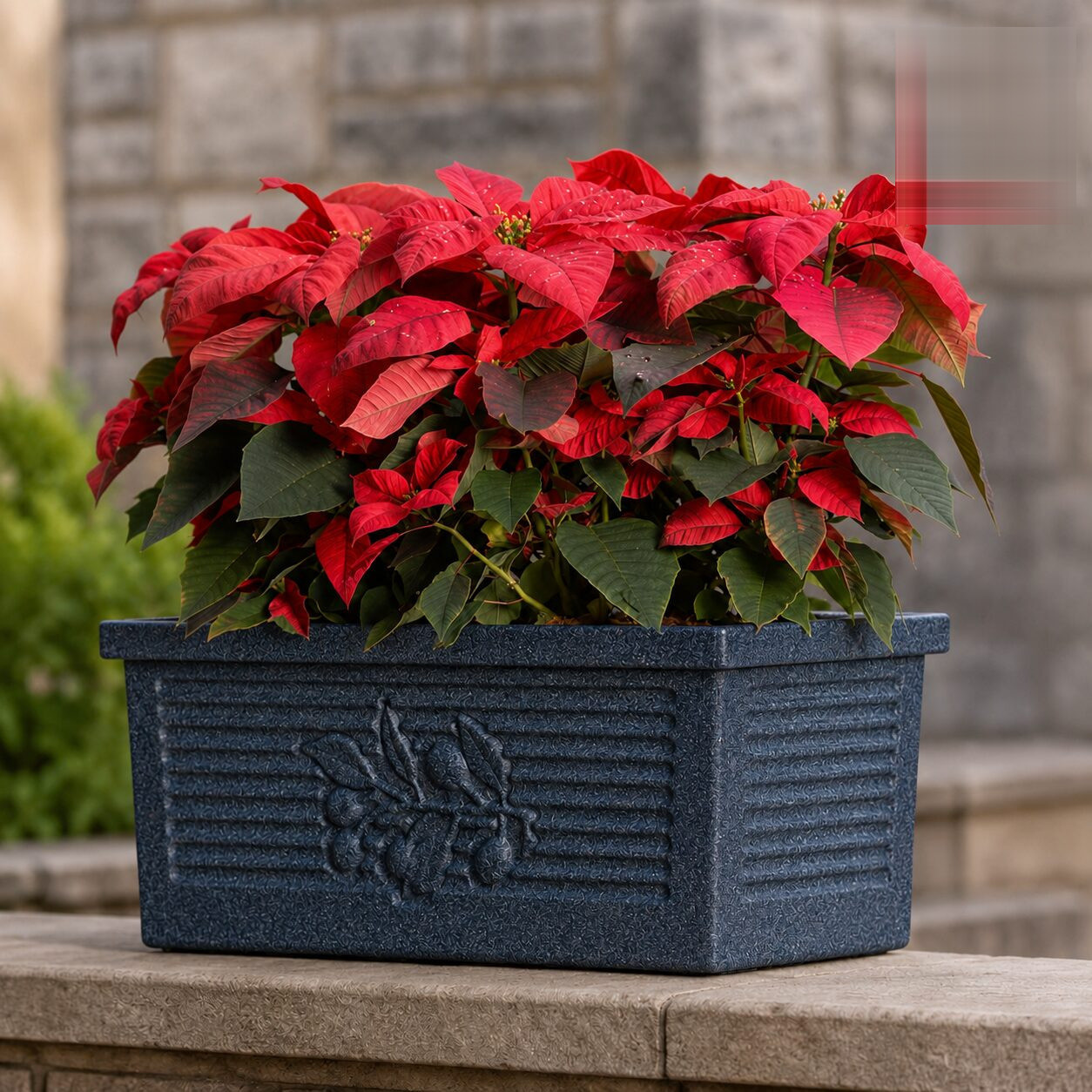 Flora Rectangle Planter - Nook & Nature