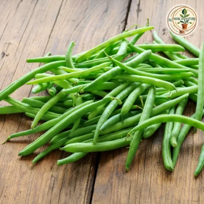 FRENCH BEANS