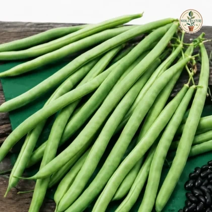 FRENCH BEANS OS IMP BLACK