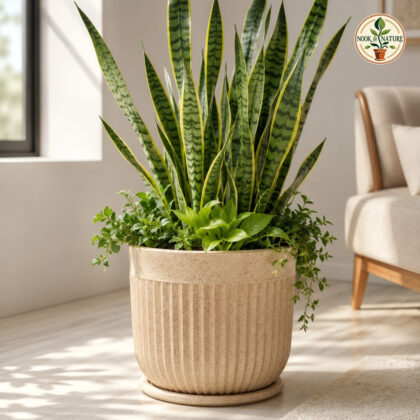 Glory Pot