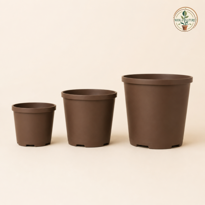 Grow White Planter No 3 6 00 In Dia X 6 50 In H Brown - Nook & Nature