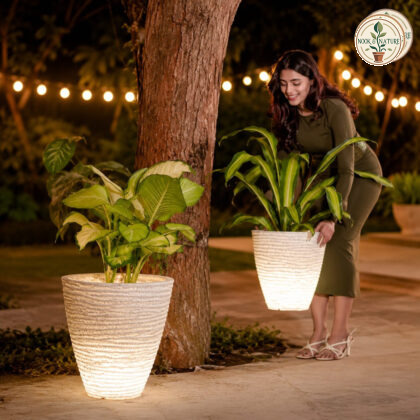 Havana Illuminated Planter Havana 50 Cream Stone Polypropylene Built In Multi Colour Led Usb Rechargeable Round Planter - Nook & Nature