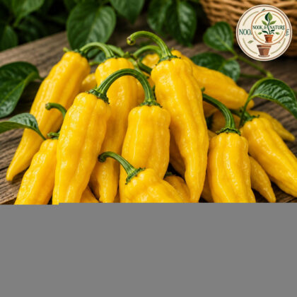 HOT PEPPER YELLOW DESIRE