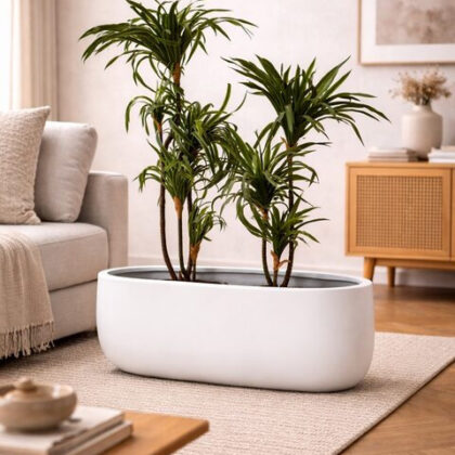 Boat Fiberglass Planter - White