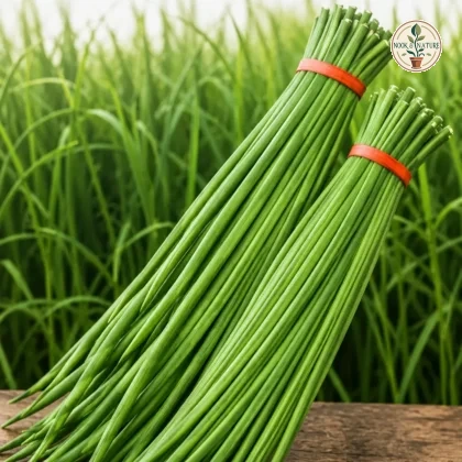 IMP YARD LONG BEANS - Nook & Nature