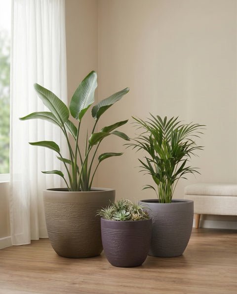 Crystal Fiberglass Planters - Image 2