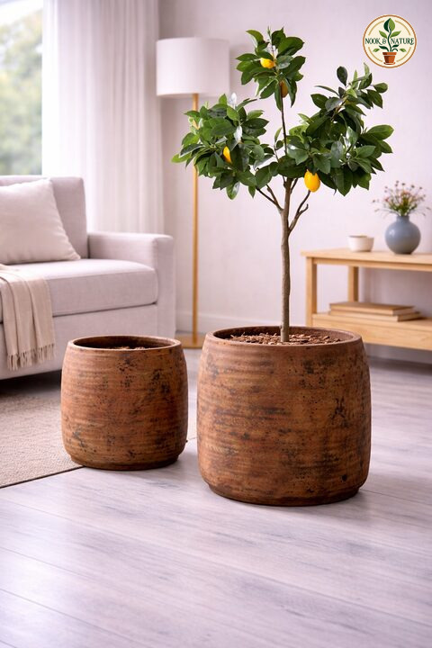 Julia Fiberglass Planters - Nook & Nature