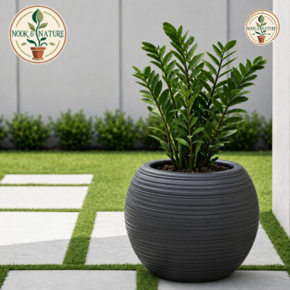 JUPITER Big Round Planter 16″ - Nook & Nature