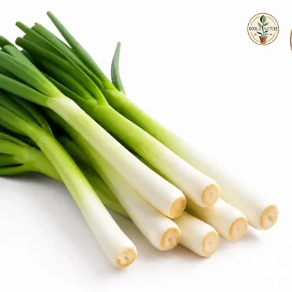 Leek Seeds - Nook & Nature
