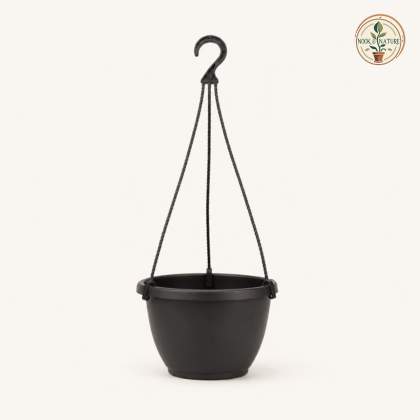 Lilly Hanging Planter Big 7 00 In Dia X 4 75 In H Black - Nook & Nature