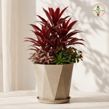 Magnum Planter