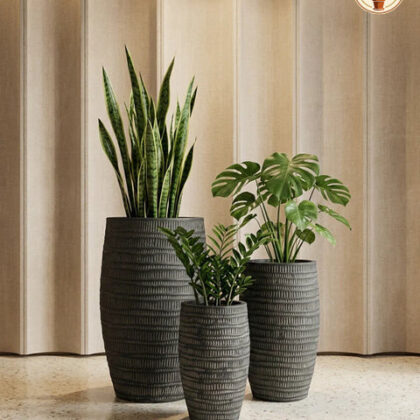 Areca Fiberglass Planters