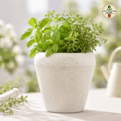 Neptune Planter