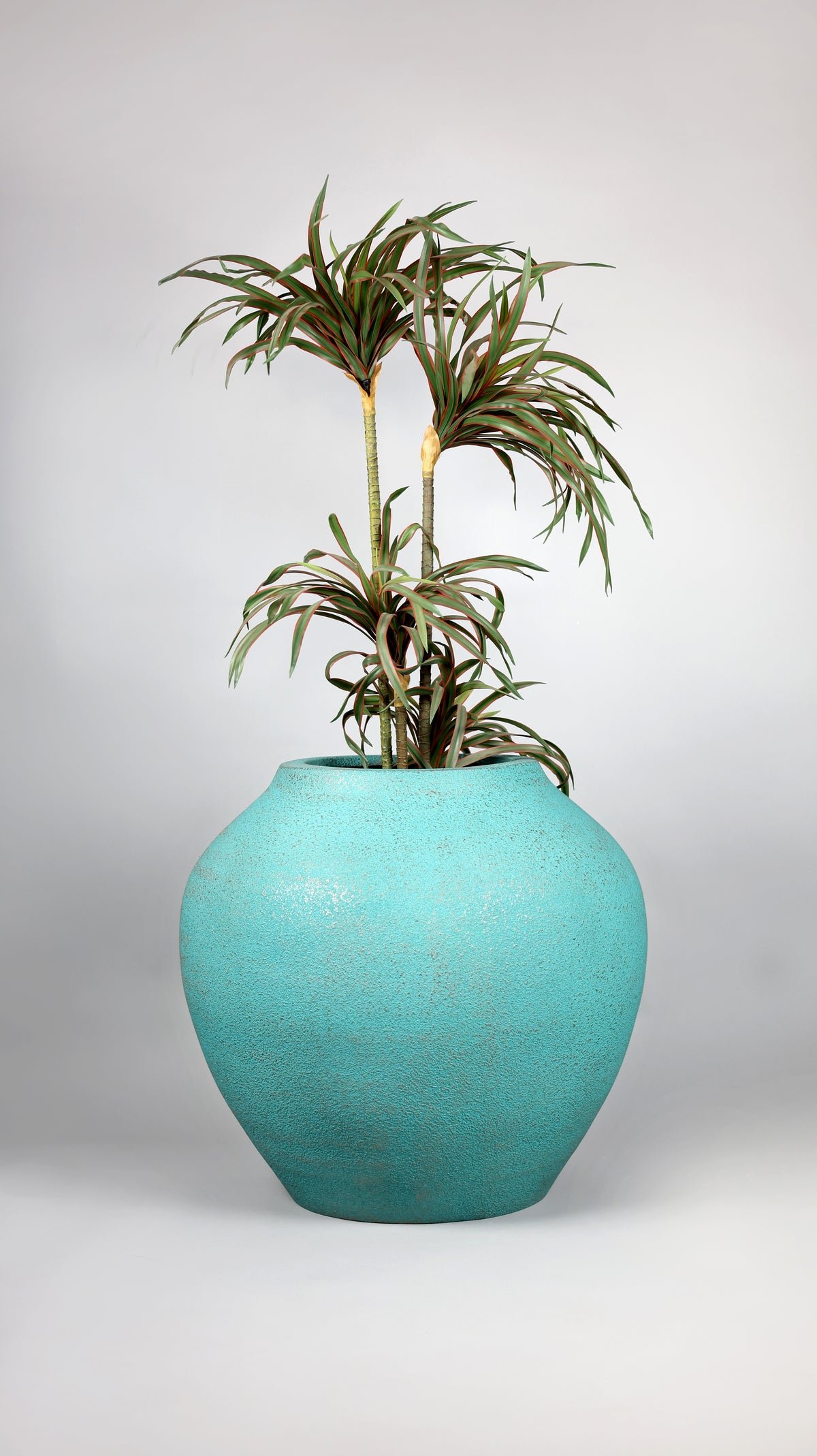 Mallow fiberglass planter blue patina planted studio view