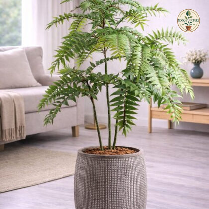 Norway Fiberglass Planters - Nook & Nature