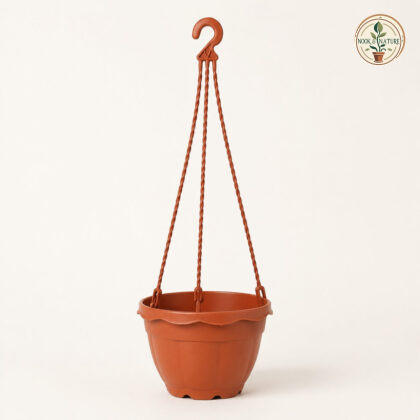 Nova Nest Hanging Planter - Nook & Nature