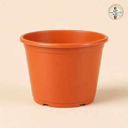 Nova Nursery Planter No 205 10 00 In Dia X 8 00 In H Black - Nook & Nature