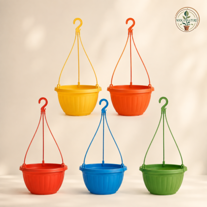 Nova Vista Hanging Planter Black Set With Plastic Hanger - Nook & Nature