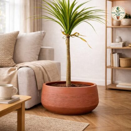 Oak Fiberglass Planters Terracotta S - Nook & Nature