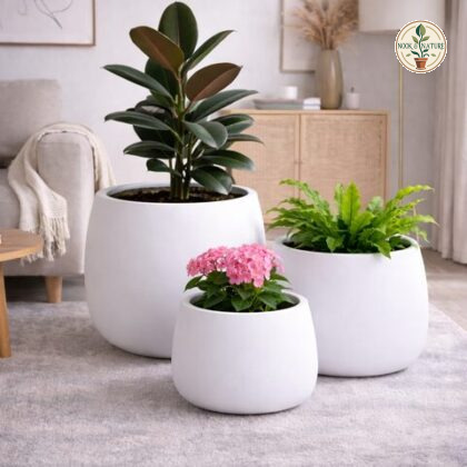 Olive Fiberglass Planters White S - Nook & Nature