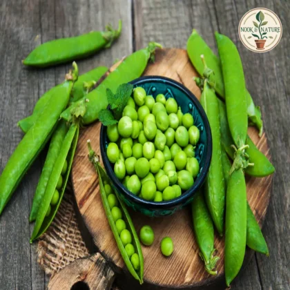 PEA SEEDS