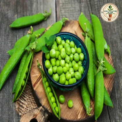 PEA SEEDS