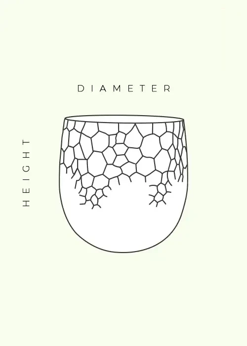 Petra Planter - product image 12
