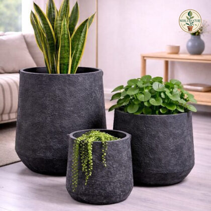 Pothos Fiberglass Planters S - Nook & Nature