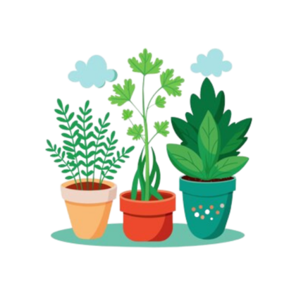 Live Plants