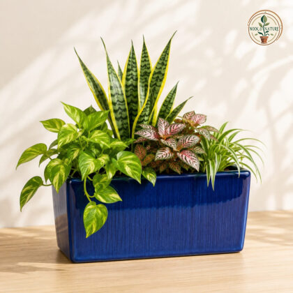 Quadro Planter 75 Cm Blue Ceramic Fibre Reinforced Plastic Frp - Nook & Nature