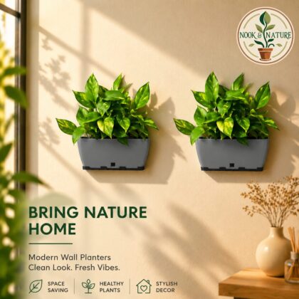 Recta Big Rectangle Planter 14″ with Wall Stand - Nook & Nature