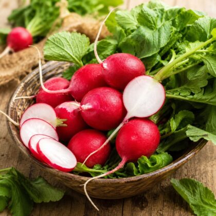 Red Round Radish - Nook & Nature