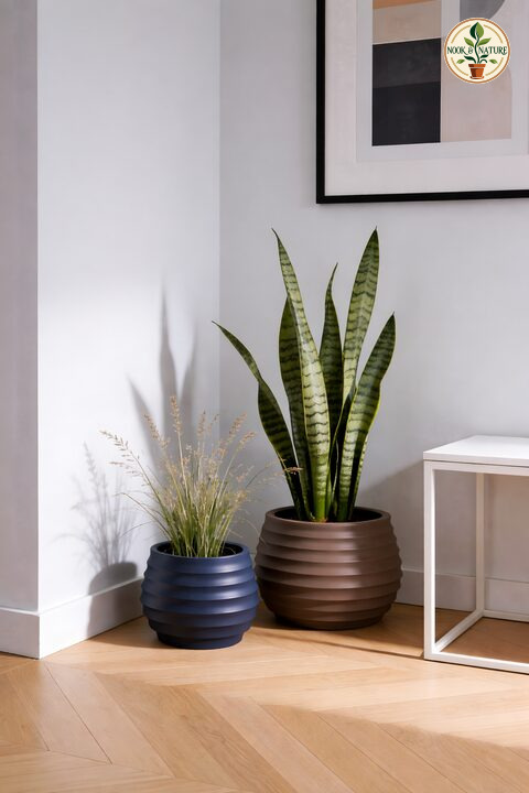 Ring Fiberglass Planters - Nook & Nature